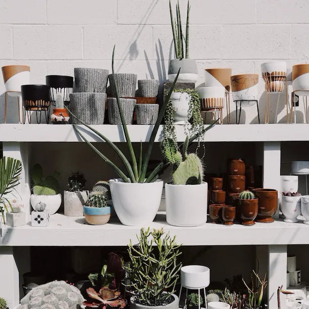 Venice & Abbot Kinney in Los Angeles