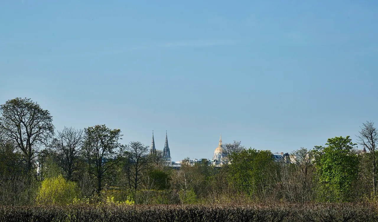 View from the Heritage Suite, with a clear sky and trees in the forefront of the picture. At Le Meurice, Paris.