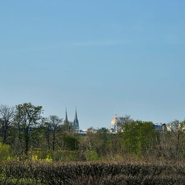 Vue depuis la Suite Heritage, avec un ciel dégagé et des arbres au premier plan de la photo. Au Meurice, Paris.