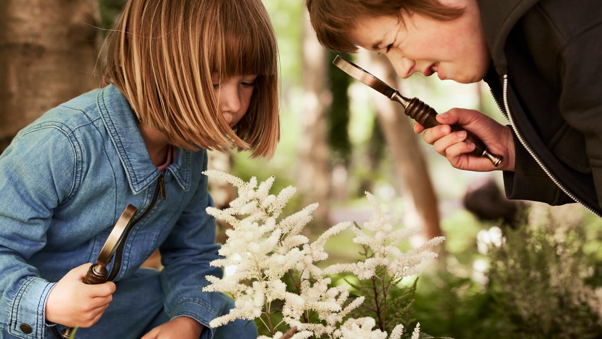 Children playing with wildflowers in the Coworth Park Grounds