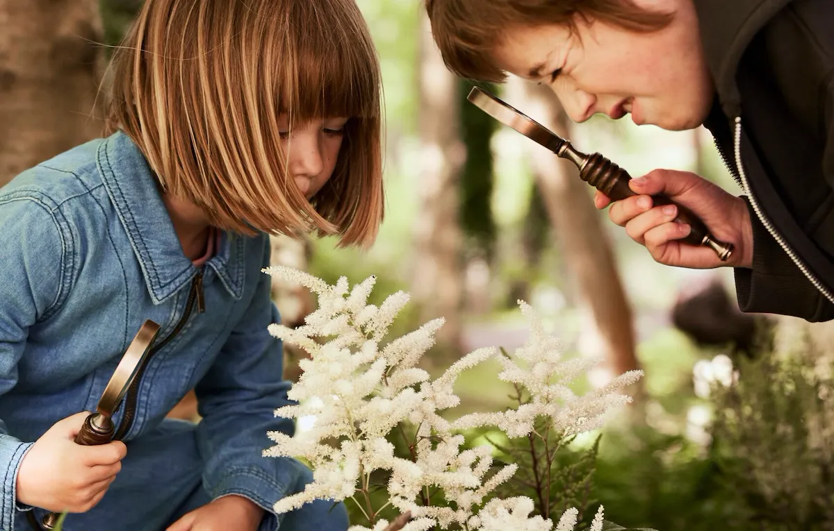 Children playing with wildflowers in the Coworth Park Grounds
