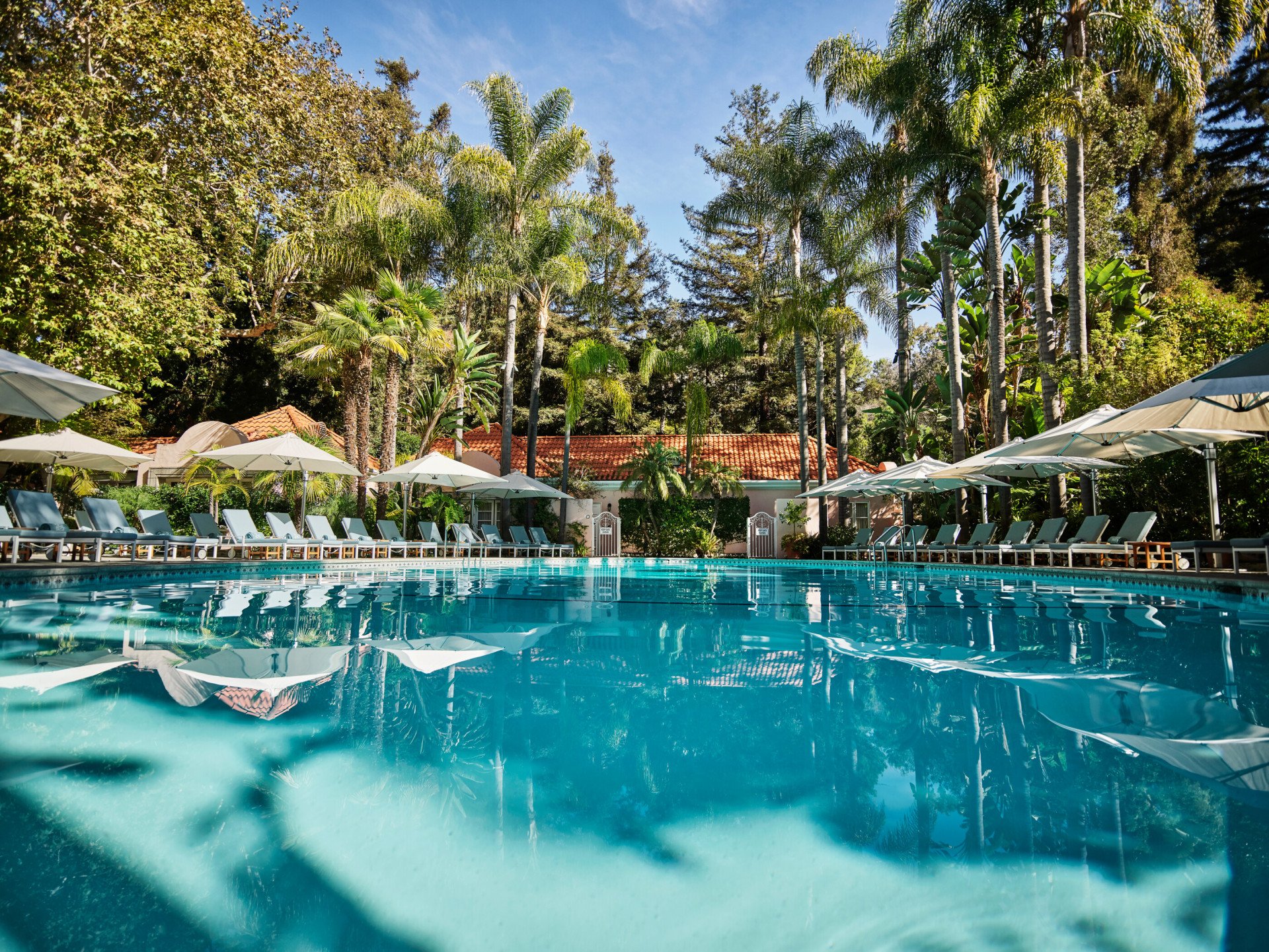 Pool with palm trees at Hotel Bel-Air