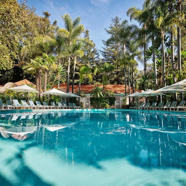 Pool with palm trees at Hotel Bel-Air