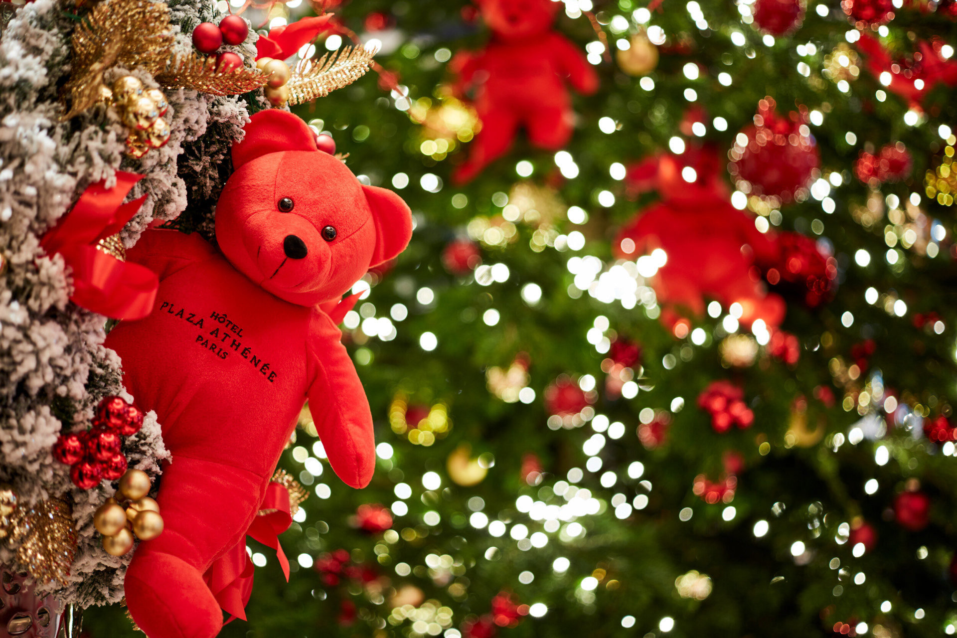 Photo d'un sapin de noel avec la peluche Gustave, mascotte de l'hôtel