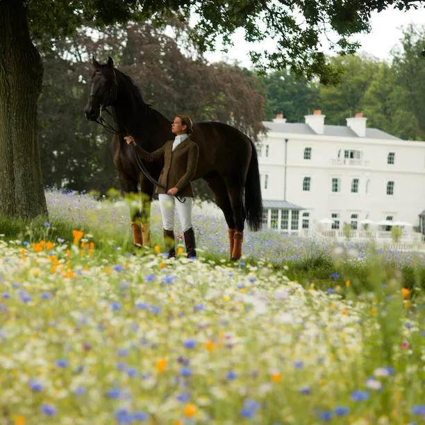 Horse and trained in the meadow flowers at Coworth Park