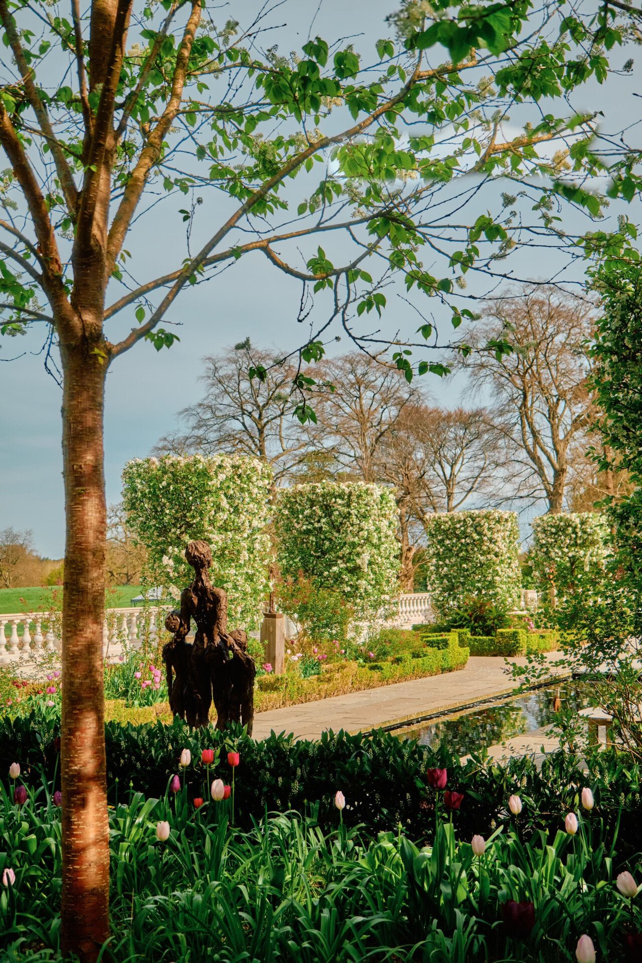 Springtime at Coworth Park with beautiful blooms and blossoms