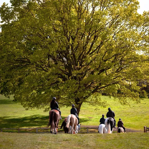 Equestrian session in the grounds of Coworth Park