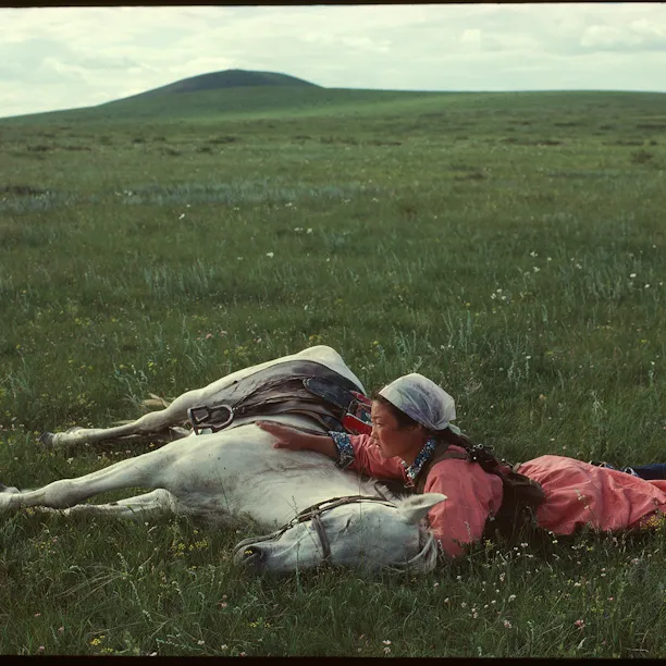 A woman and a white shore lying in filed of grass with mountain background