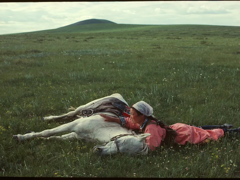 A woman and a white shore lying in filed of grass with mountain background