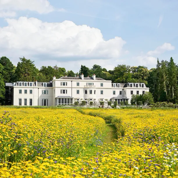 Exterior facade of Coworth Park with yellow wildflower meadow in front, Ascot