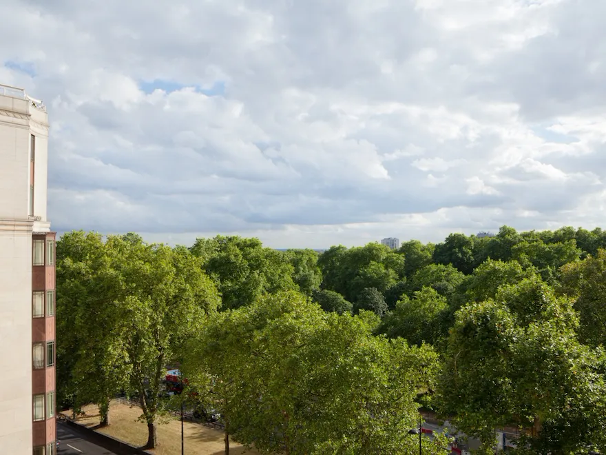 View from one of The Dorchester's suites
