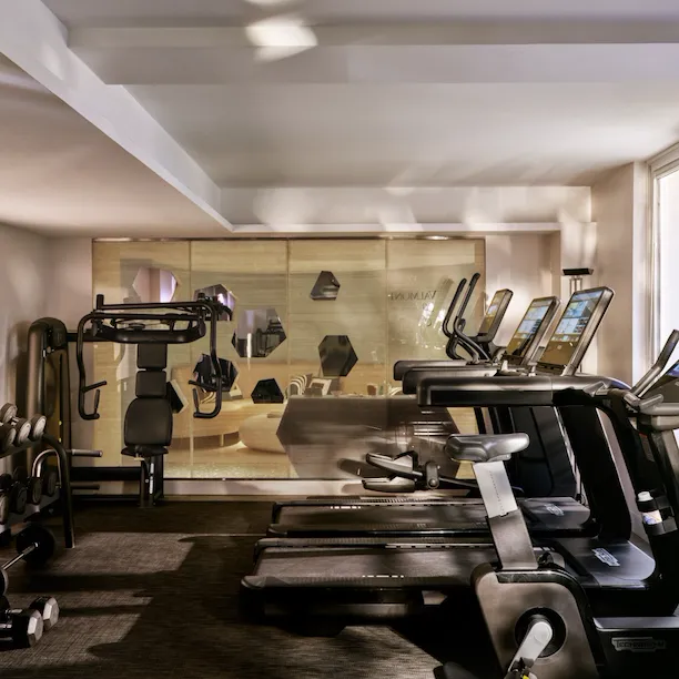 Large view of the fitness room at Spa Valmont pour Le Meurice, Paris - Dorchester Collection