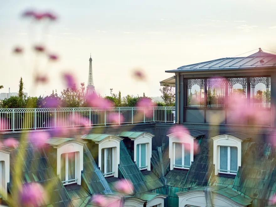 Une vue depuis le toit avec des fleurs roses floues au premier plan. La tour Eiffel est visible au loin, créant une atmosphère sereine et romantique.