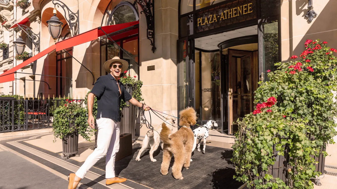 Gray Malin's Portrait at Hôtel Plaza Athénée - Walking with dogs in the front entrance