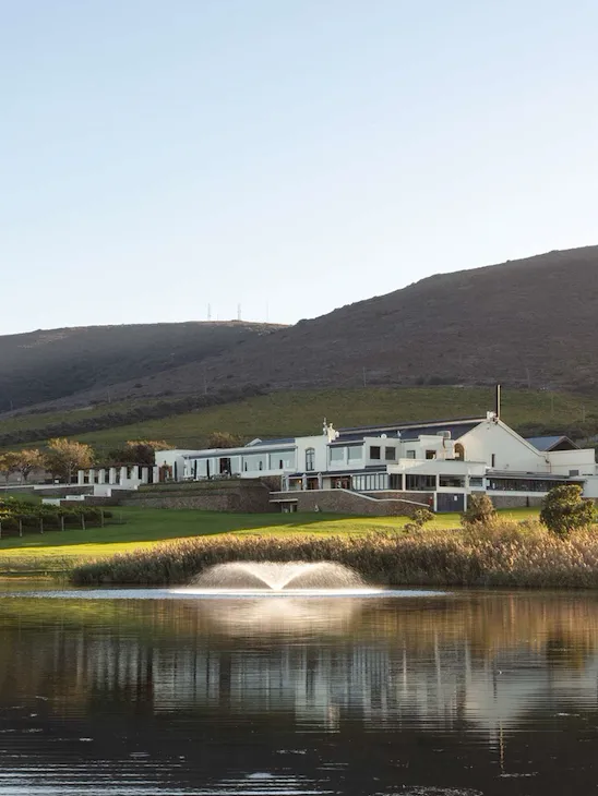 The De Grendel wine estate