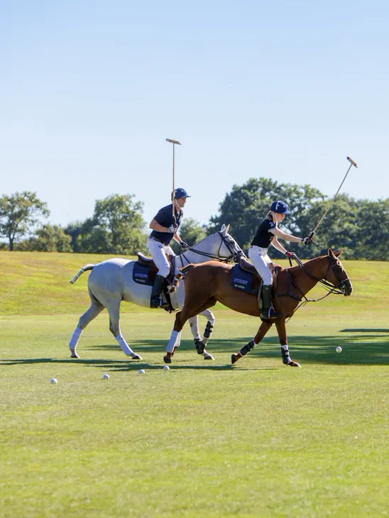 2 polo players on 2 horses hitting ball, on fields on a sunny day