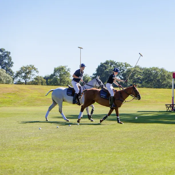 2 polo players on 2 horses hitting ball, on fields on a sunny day
