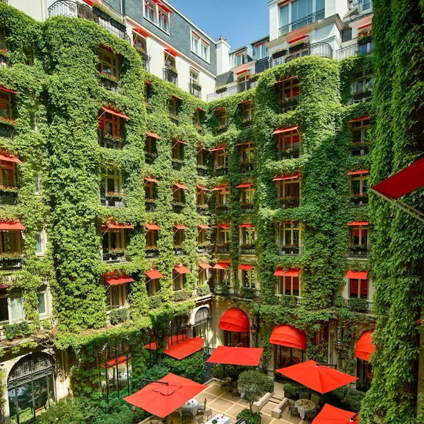 La Cour Jardin Courtyard green vine, red awnings and parasols seen from a room window, at Hotel Plaza Athénée, Paris