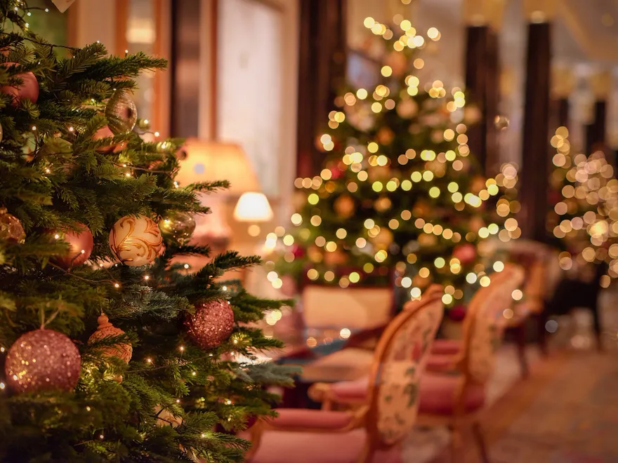 Images of the Promenade dressed for Christmas.