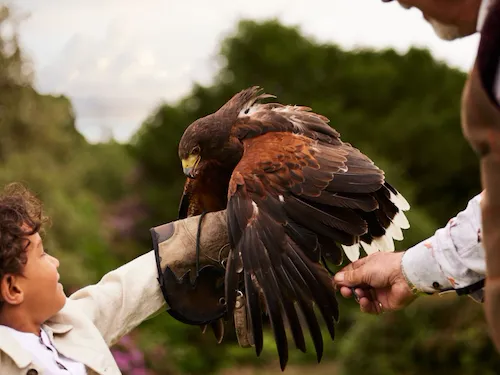 Coworth Park — interior and exterior view 8