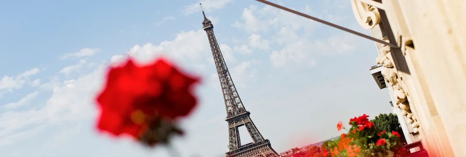 View of Eiffel Tower from balcony with red flowers in foreground at Hôtel Plaza Athénée, Paris
