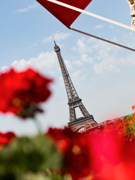 View of Eiffel Tower from balcony with red flowers in foreground at Hôtel Plaza Athénée, Paris