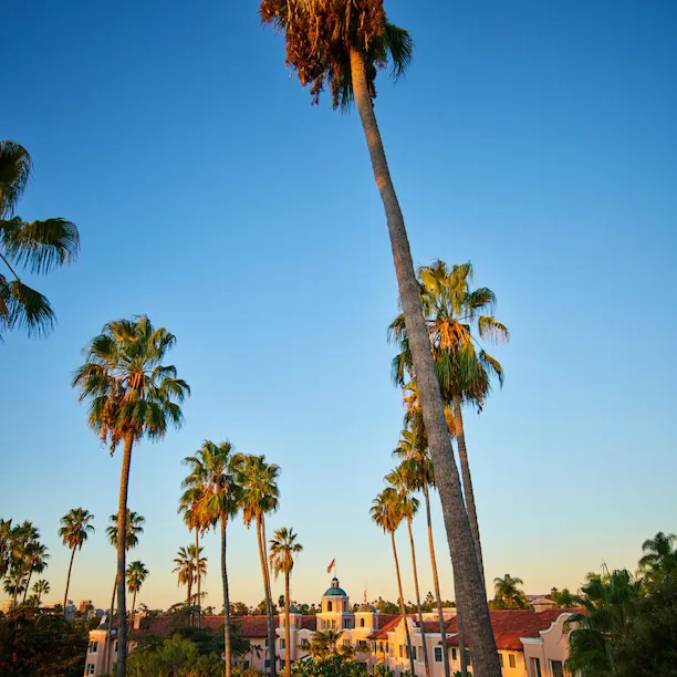 The Beverly Hills Hotel exterior photo of building with palm tree skyline