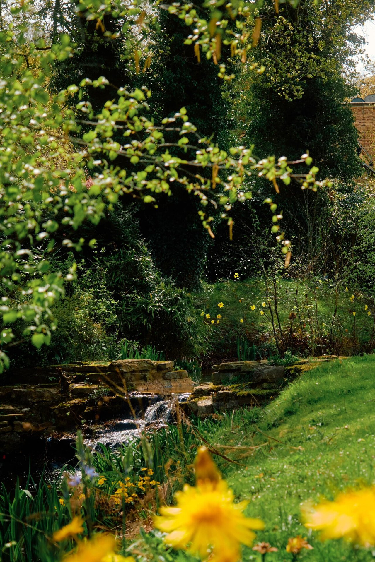 Springtime at Coworth Park with beautiful blooms and blossoms