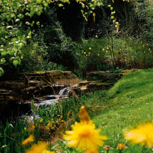 Springtime at Coworth Park with beautiful blooms and blossoms