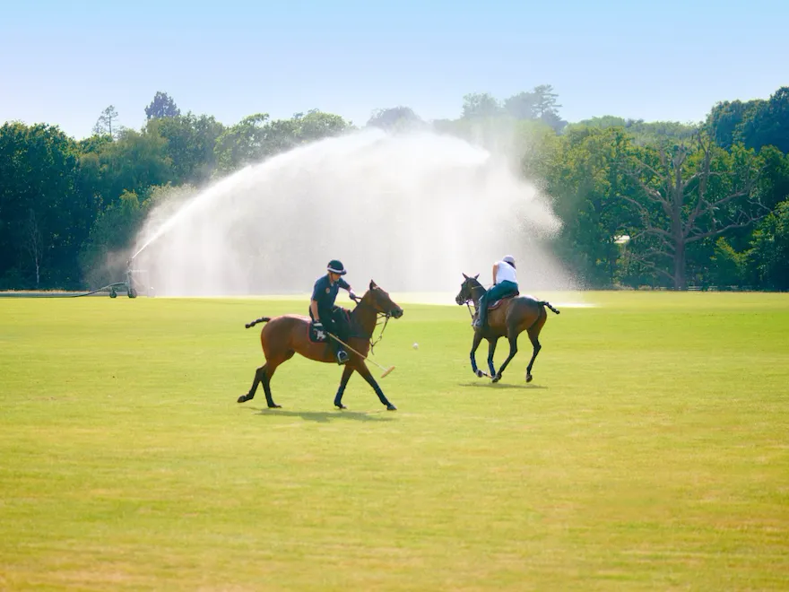Polo at Cowoth Park