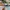 The Beverly Hills Hotel — photo 17