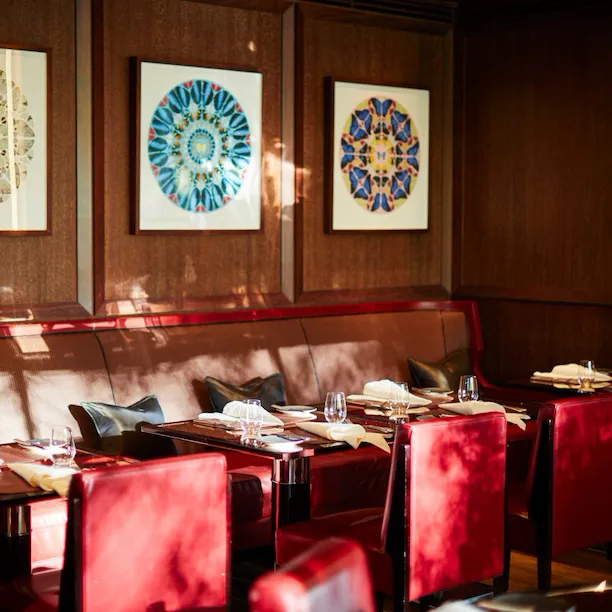 CUT at 45 Park Lane-interior-Damien Hirst-highres