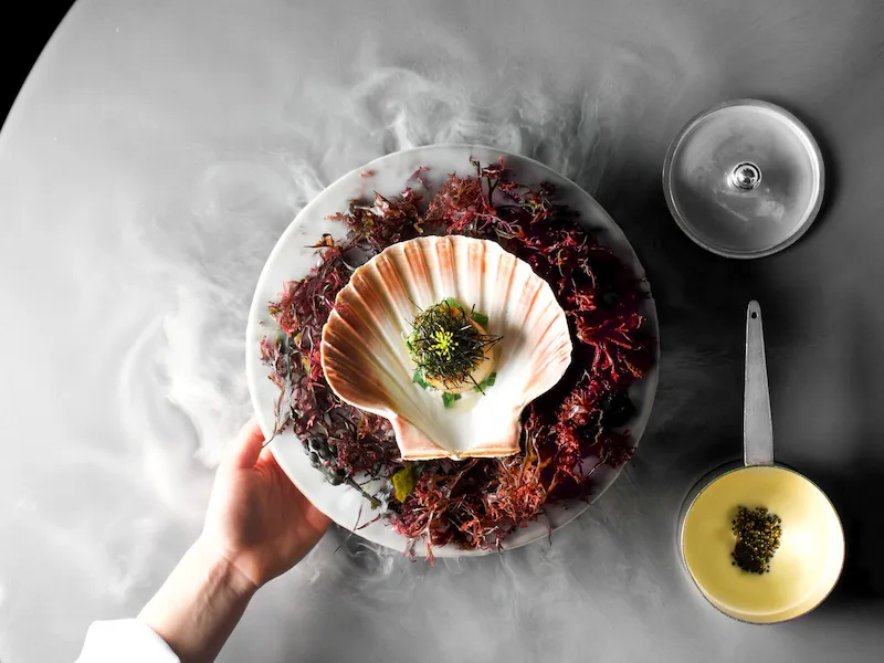 Alain Ducasse At The Dorchester Summer Menu - Scallops