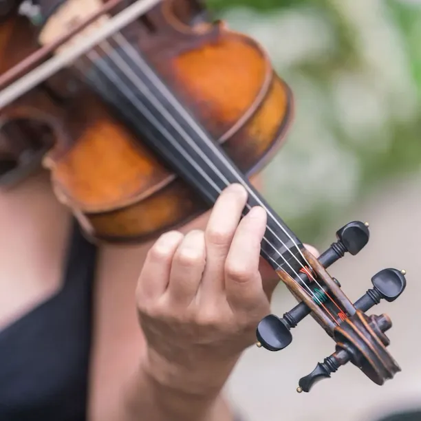 Hotel Bel-Air Wedding Musician playing violin