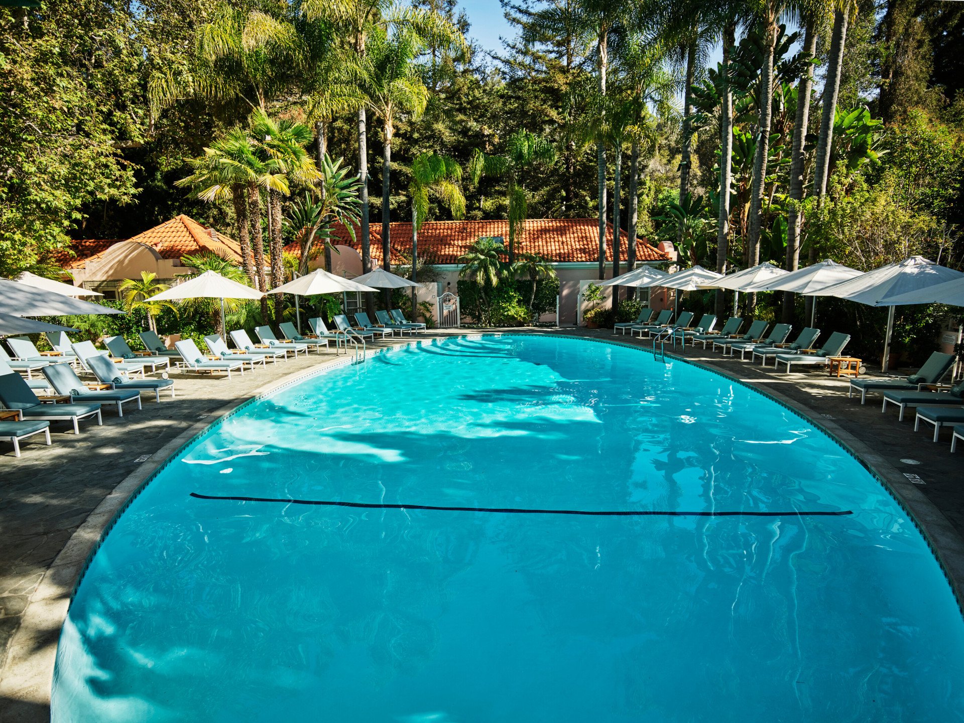 Pool with palm trees at Hotel Bel-Air