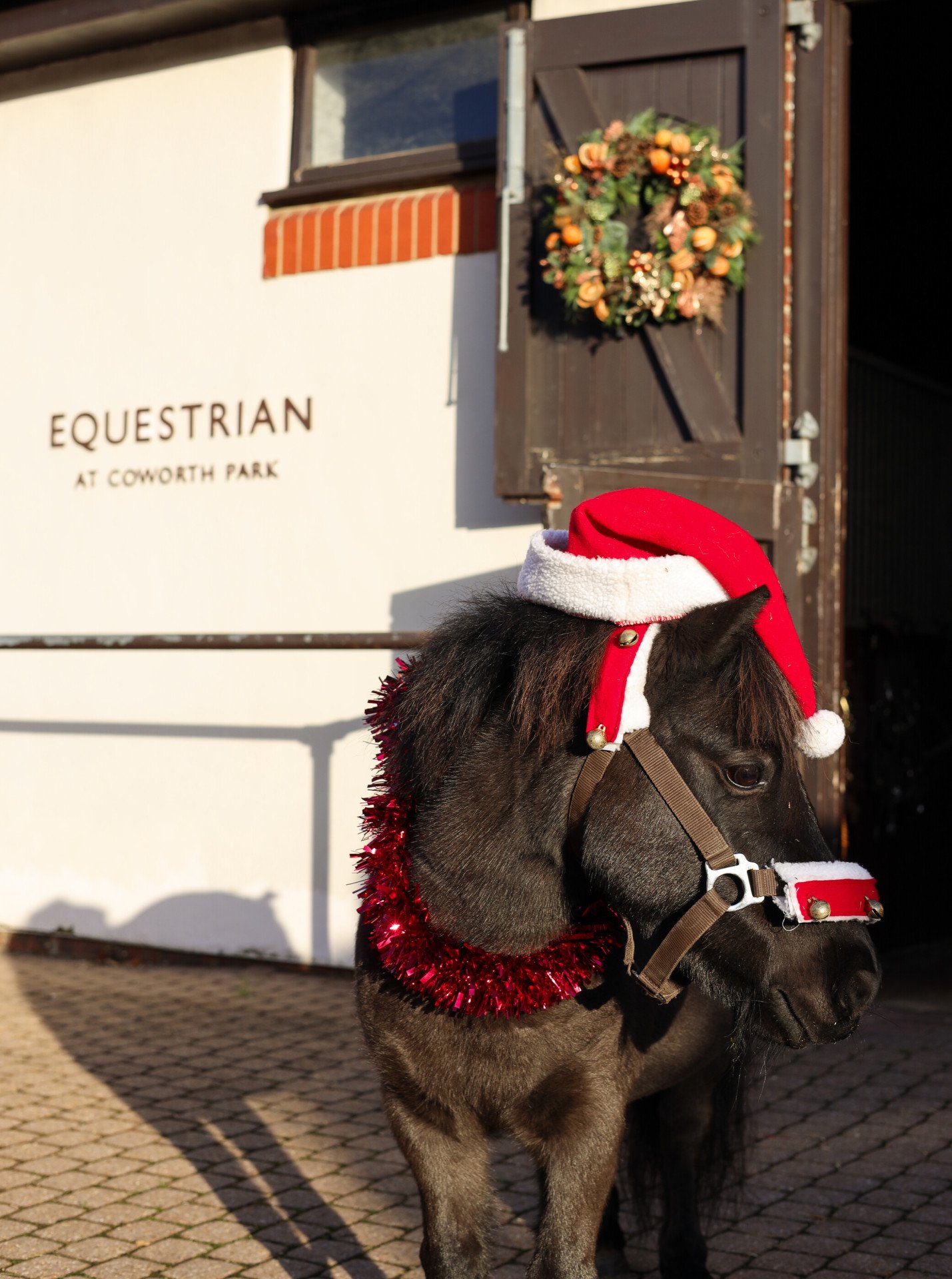 Coworth Park festive equestrian.