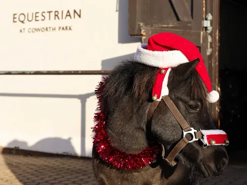 Coworth Park festive equestrian.
