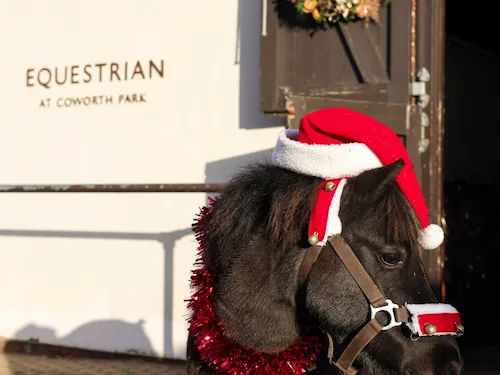 Coworth Park festive equestrian.