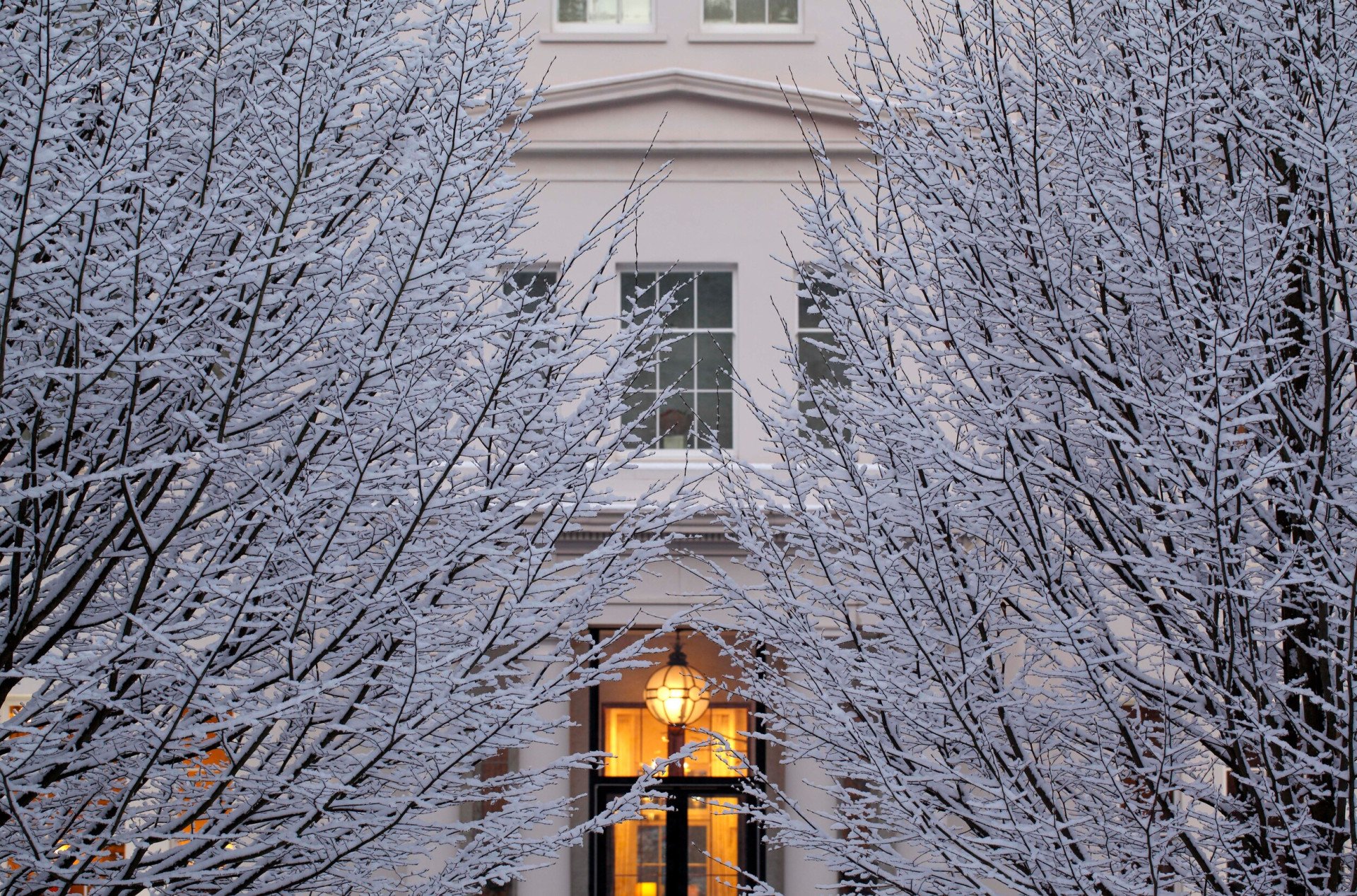 Coworth Park-Exterior trees and snow-highres